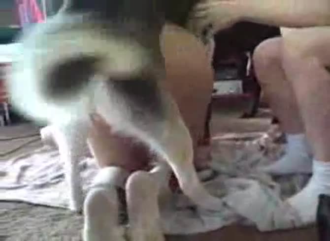 Video :Dog sniffs and fucks the pussy of a sexy teen